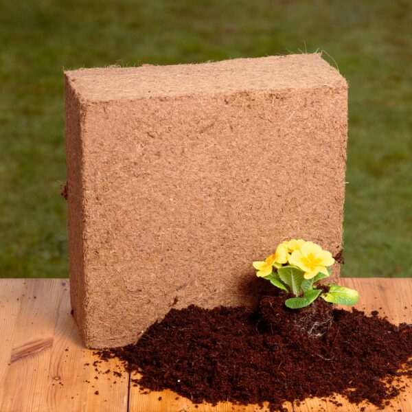 Coco Coir Compost Coco & Coir Organic Peat-Free Compost Block (75L ...