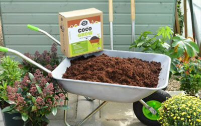 How to use Coco Coir - Peat free coir growing media