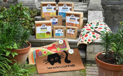 Southern Trident company video