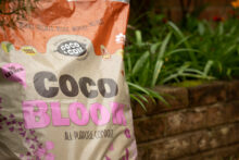 Coco Bloom All Purpose