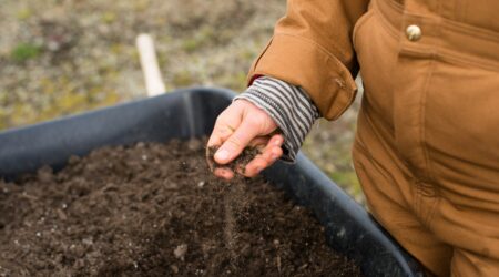 Our Journey To Becoming A Carbon Neutral Business